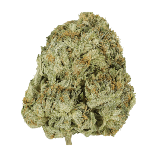 Godzilla Glue | Herb Approach Canada