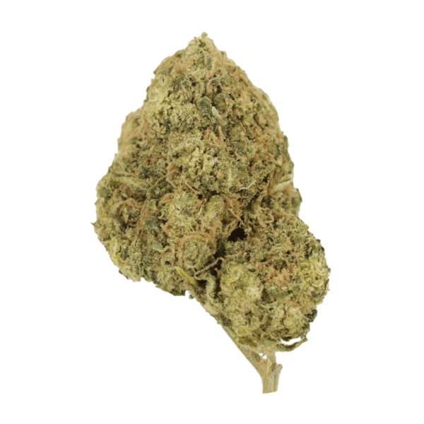 Laughing Buddha | Herb Approach Canada