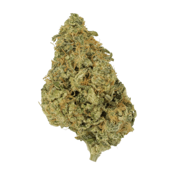 OG Lemon Haze | Herb Approach Canada