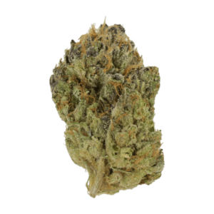 Blueberry Muffin | Herb Approach Canada