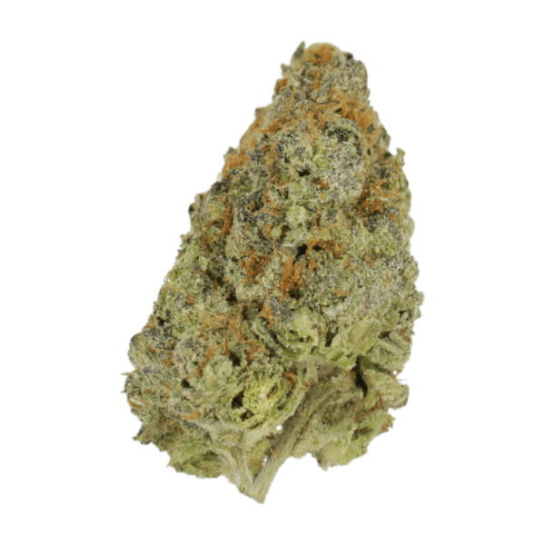 Lilac Diesel | Herb Approach Canada