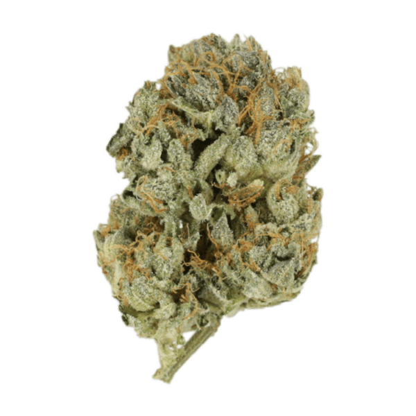 Kashmir Kush | Herb Approach Canada