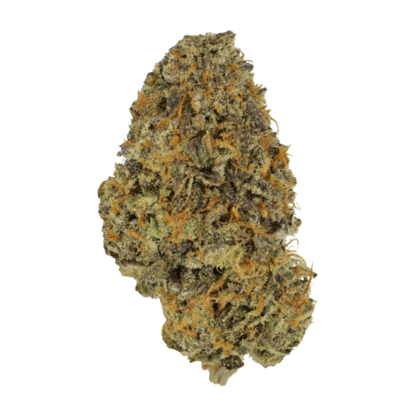 Blackberry Nightmare | Herb Approach Canada