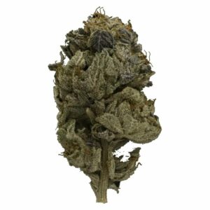 Herb Approach Canada - Pink Gas Strain | Herb Approach Canada