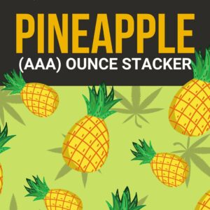 Pineapple 1 OZ Kit | Herb Approach Canada